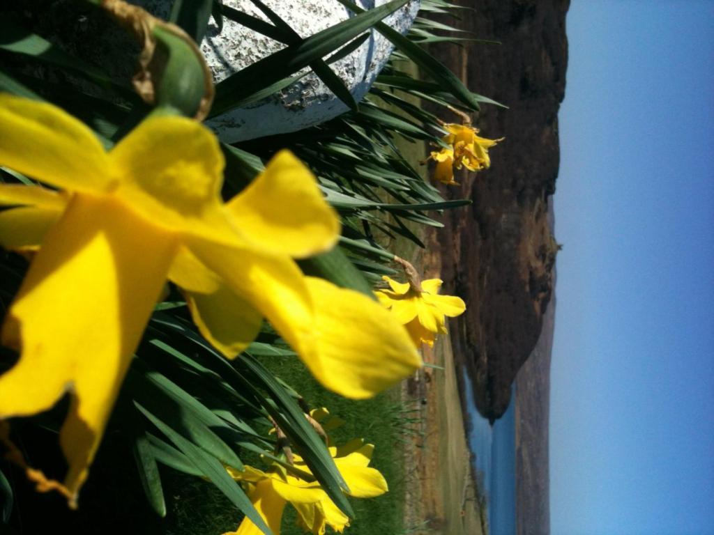 Ben Loyal Hotel Tongue Esterno foto