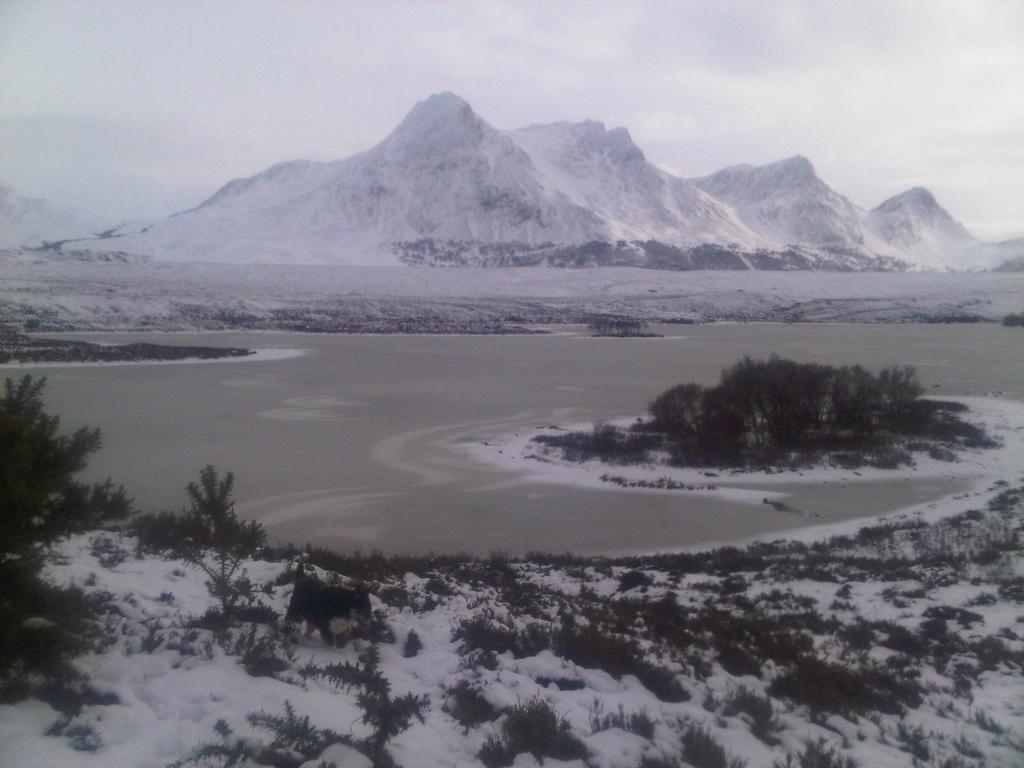 Ben Loyal Hotel Tongue Esterno foto
